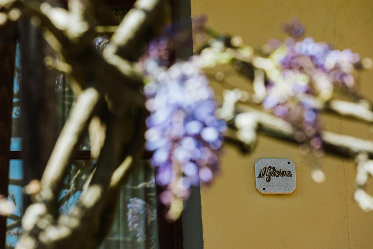 Agriturismo Montalbino Montespertoli Exterior photo